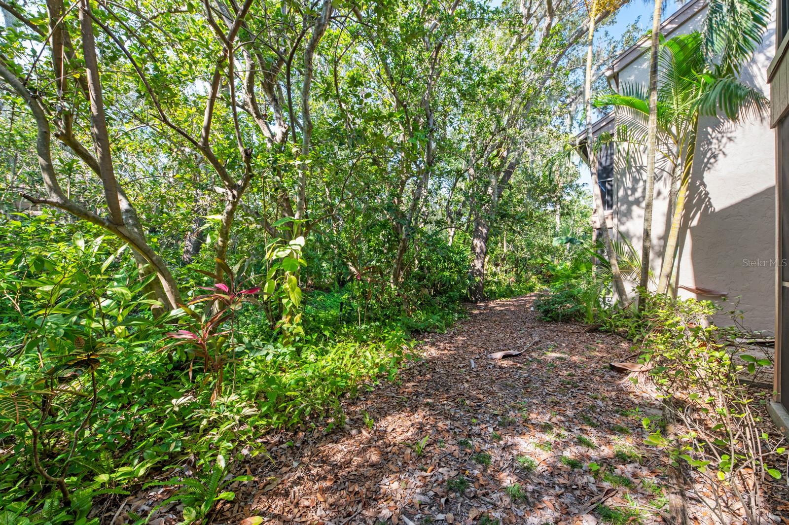 PELICAN COVE XVI - Residential