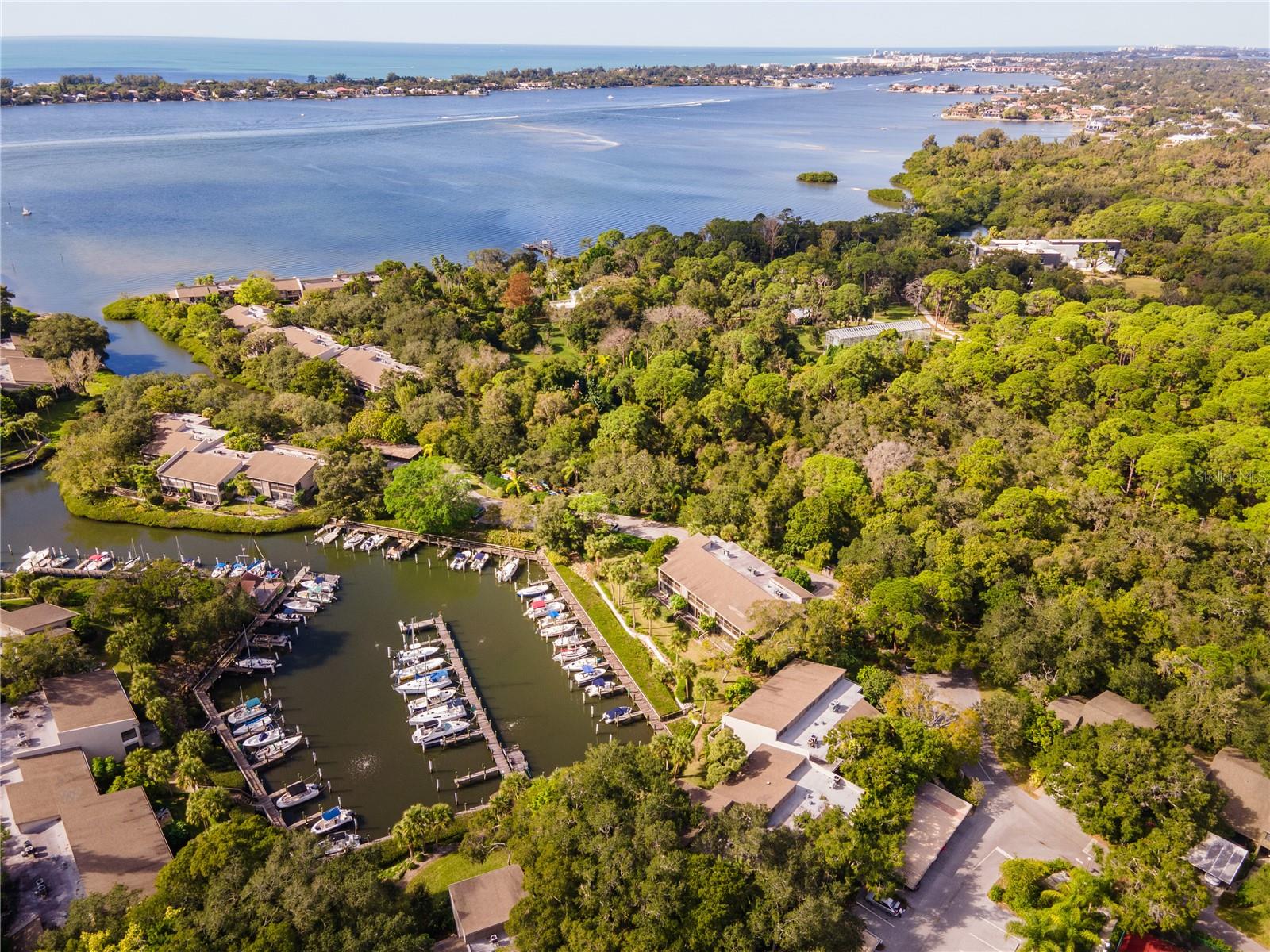 PELICAN COVE XVI - Residential