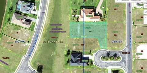 579 LOBLOLLY PLACE AUBURNDALE FL 33823