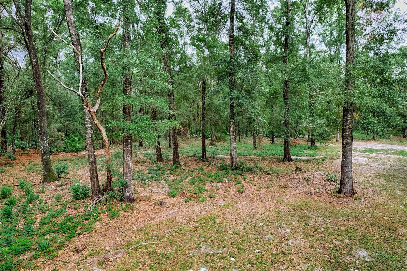 CORTEZ ACRES - Residential