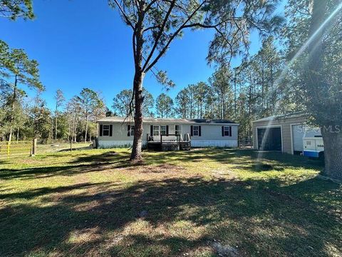 A home in POLK CITY