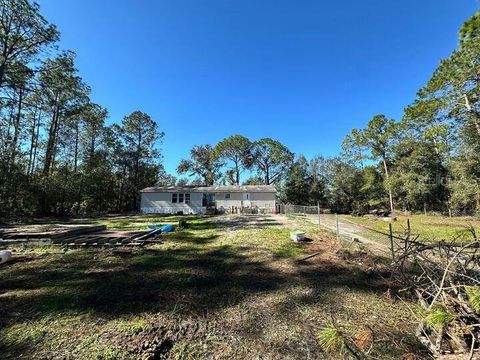 A home in POLK CITY