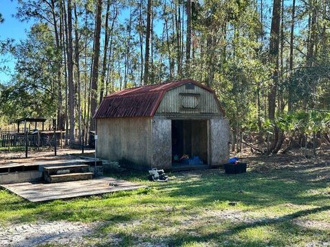 A home in POLK CITY