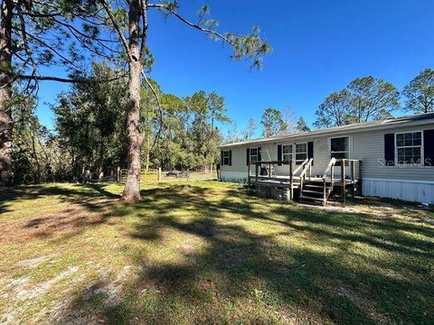 A home in POLK CITY