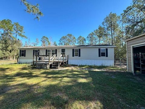 A home in POLK CITY