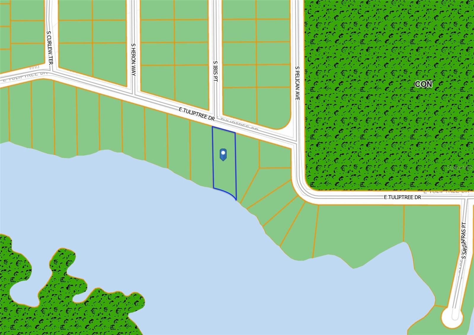 Great wooded lot! This area of Horseshoe Island, within Lake Estates, will be a premier living destination once the community is developed. Plan your custom home or enjoy the land. Almost half an acre!!! Close to Inverness Golf and Country Club.