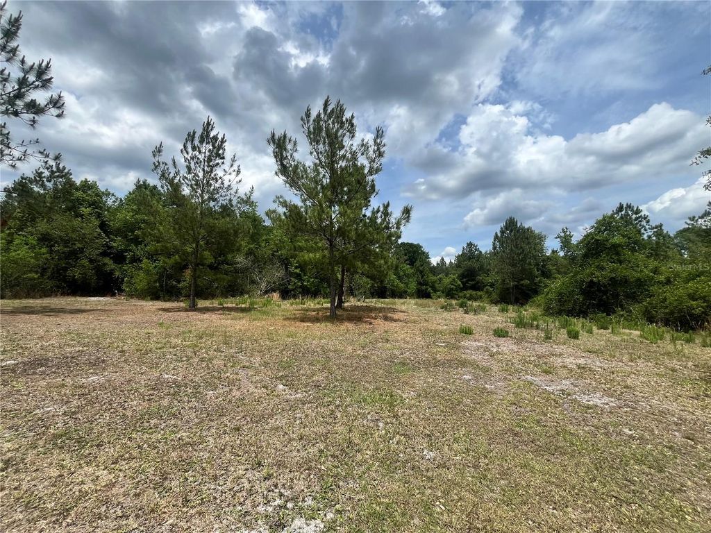 Photo of 0 NW County Road 229, Starke, FL 32091 (MLS # GC540650)