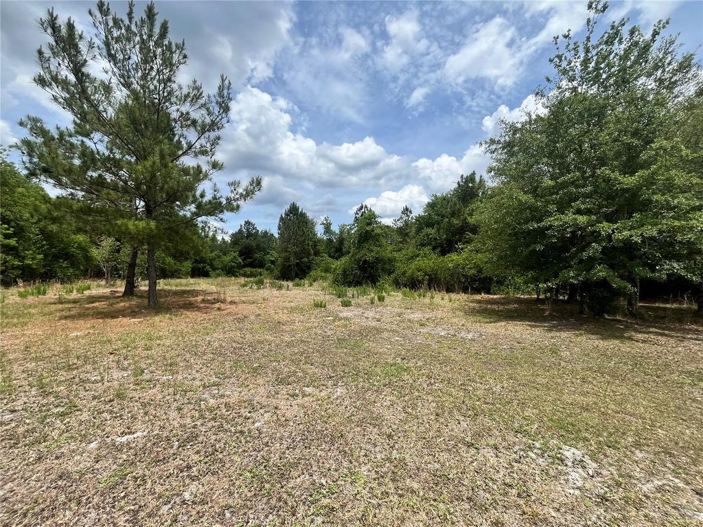 Photo of 0 NW County Road 229, Starke, FL 32091 (MLS # GC540650)
