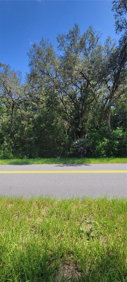 Owner financing available! Build your dream home on this 0.24-acre lot in Rainbow Lakes Estates, Dunnellon. Located approximately
3.5 miles from the main entrance, this south-facing parcel sits along a paved road with electric and existing homes nearby. Enjoy a
quiet, rural country setting in a growing community with no HOA and access to many amenities including parks, playgrounds, sports
courts, fitness and youth centers. Conveniently close to the Rainbow River, Rainbow Springs State Park, Lake Rousseau, and shopping.
Ocala, Crystal River, Gainesville, and Florida's Nature Coast are all within a 30 - 40 minute drive. This is a great opportunity for peaceful
living or future investment.