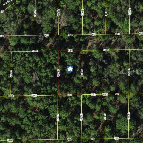 Photo of 7334 W Contentment Lane, Dunnellon, FL 34433 (MLS # OM711898)