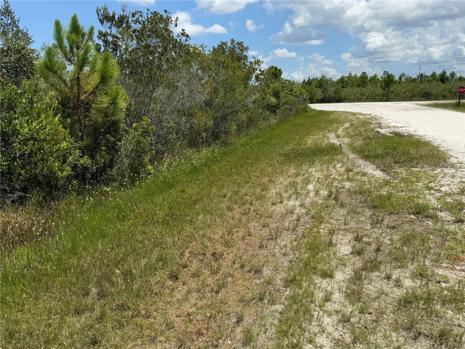 INDIAN LAKE ESTATES - Land