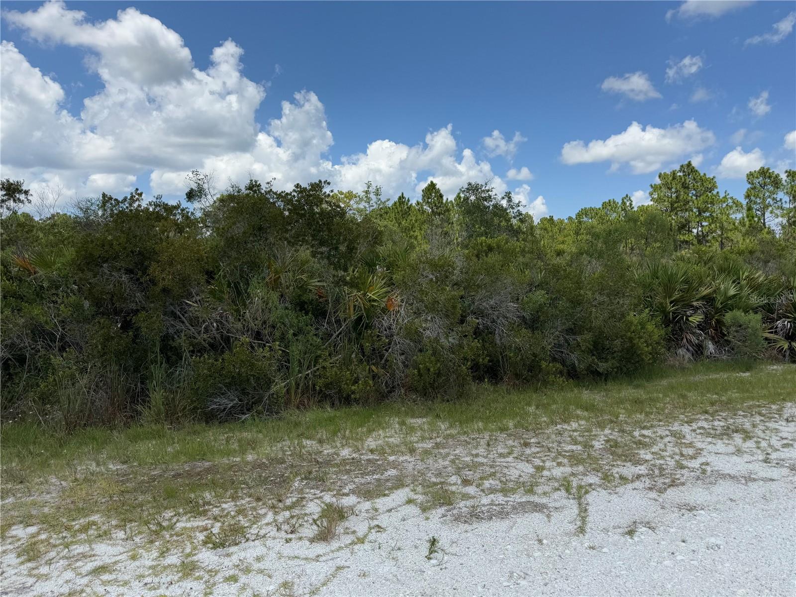 INDIAN LAKE ESTATES - Land