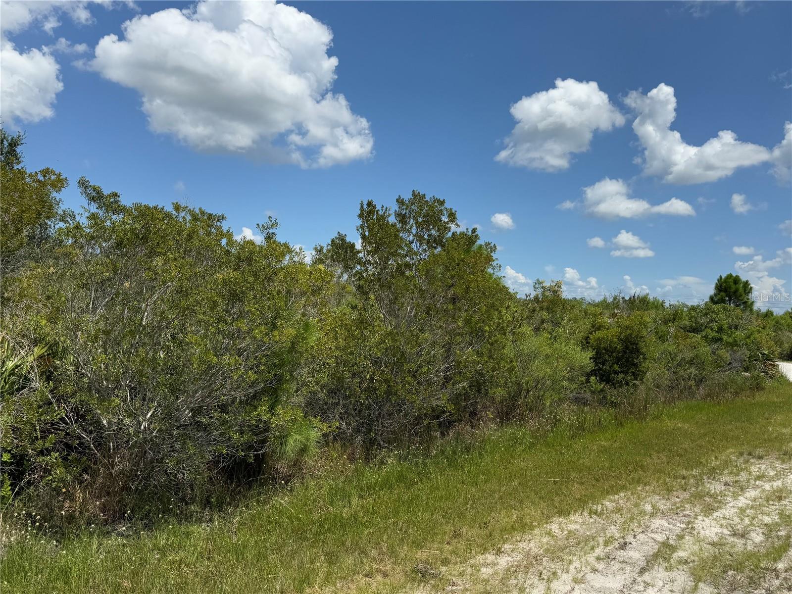 INDIAN LAKE ESTATES - Land
