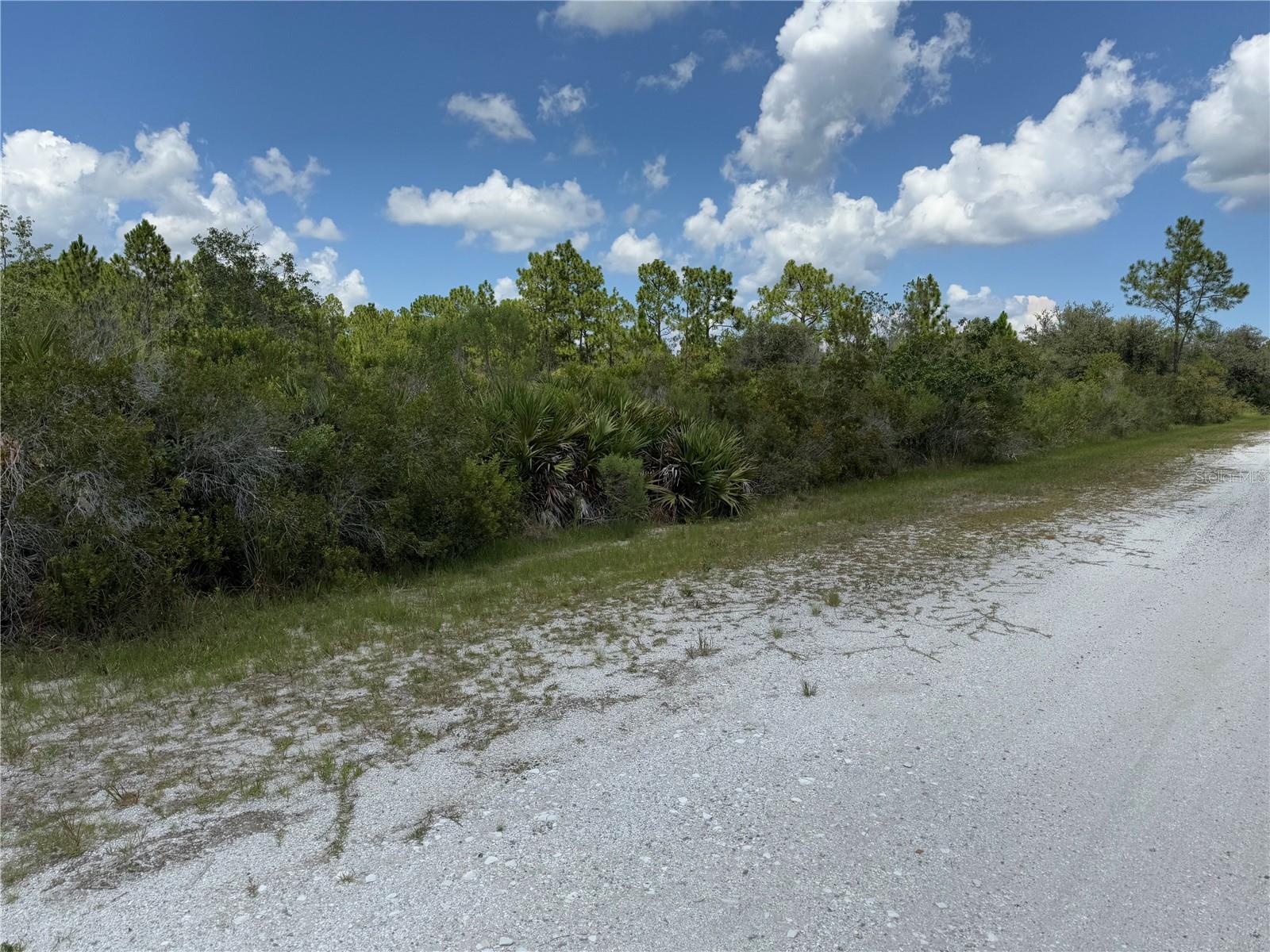 INDIAN LAKE ESTATES - Land