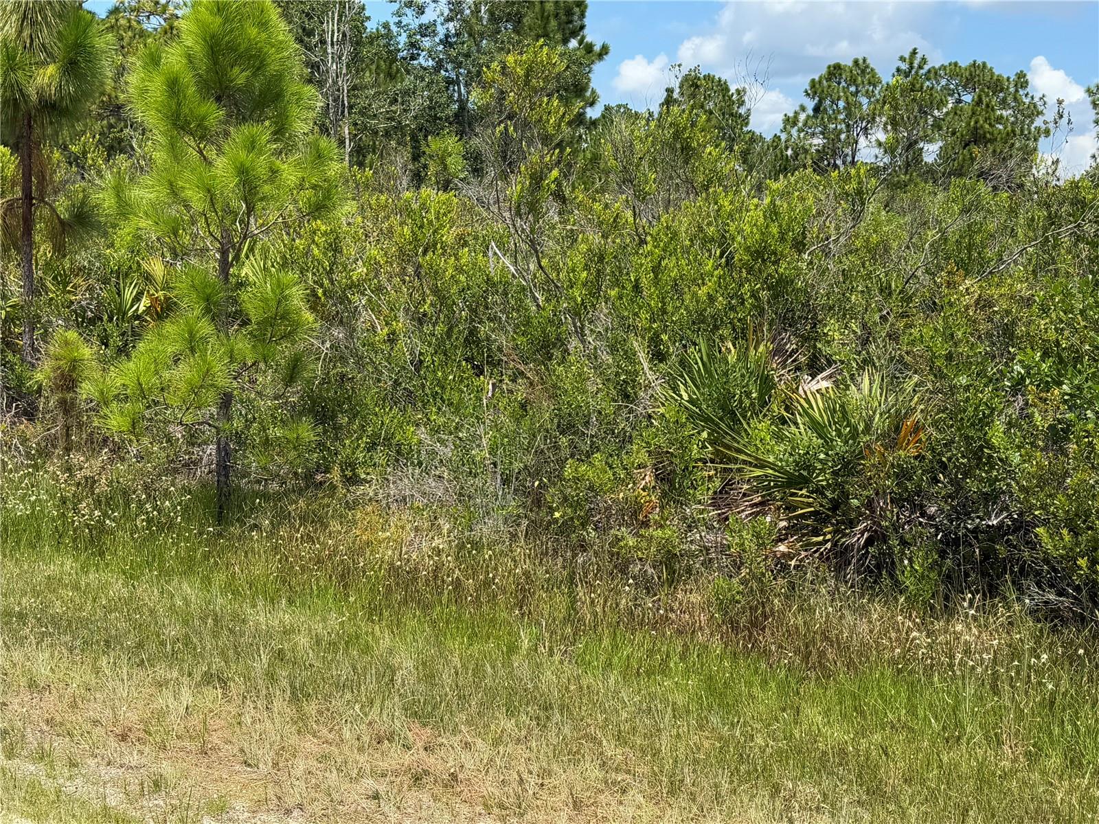 INDIAN LAKE ESTATES - Land