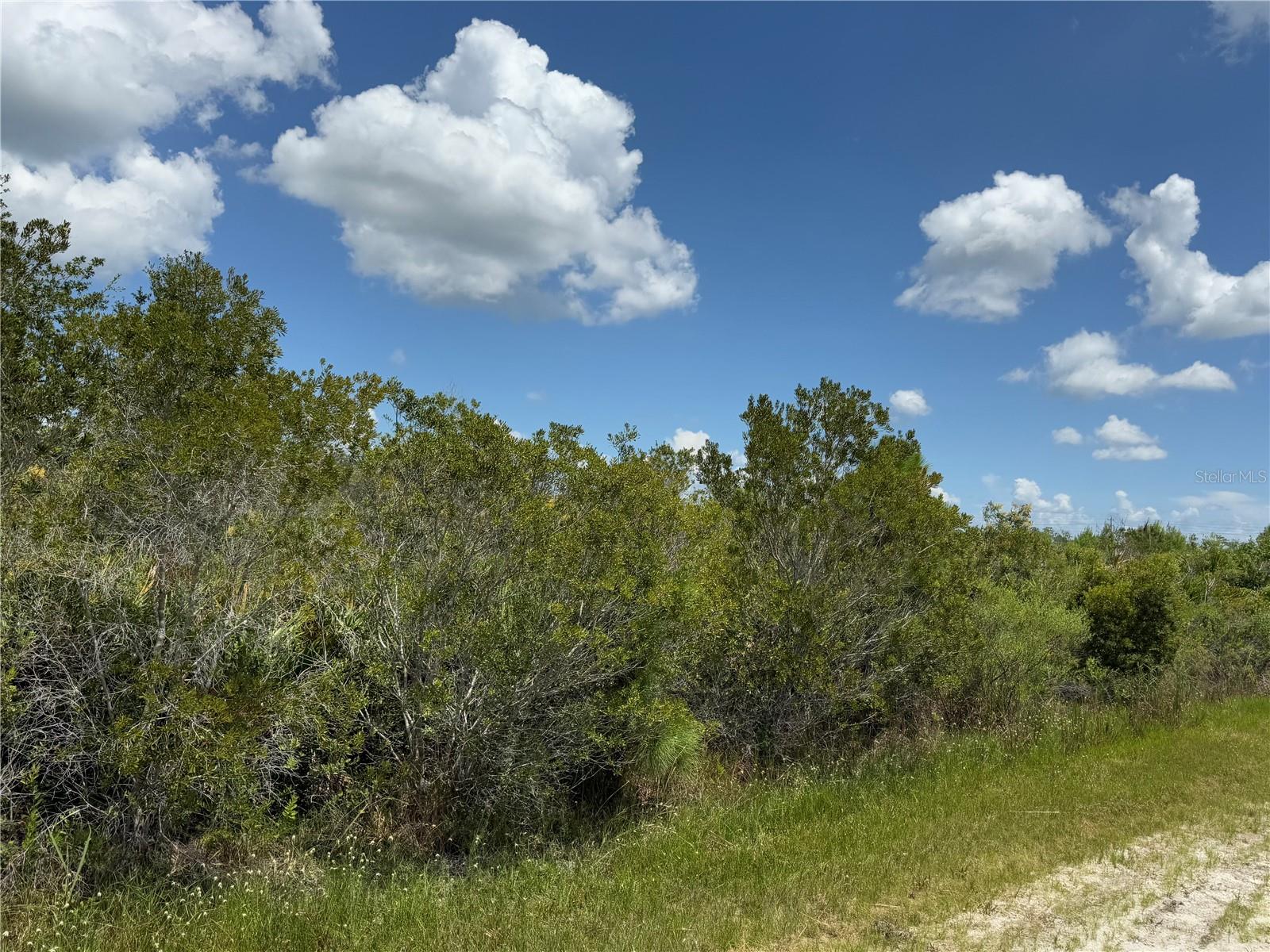 INDIAN LAKE ESTATES - Land