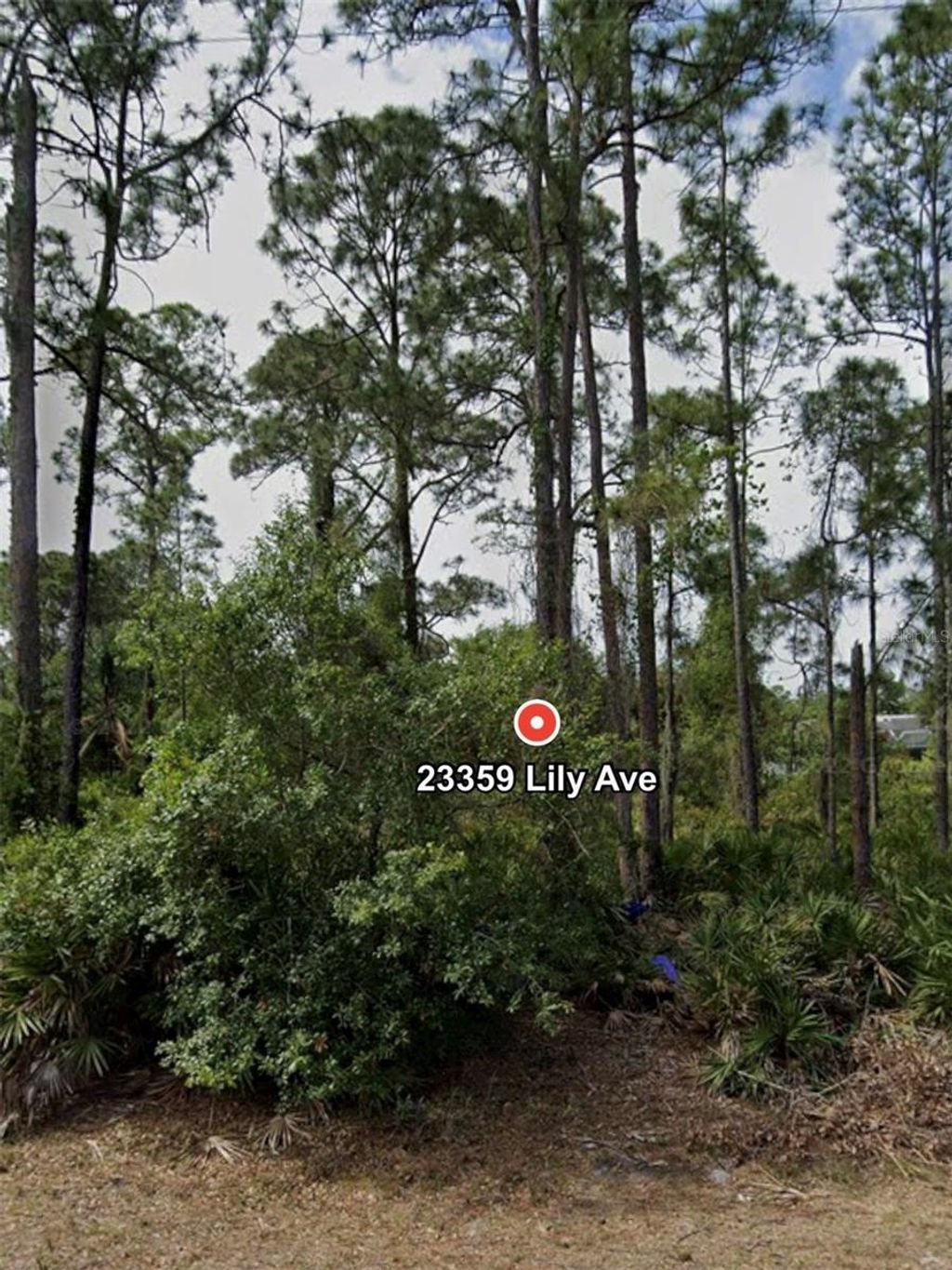 Photo of 23359 Lily Avenue, Punta Gorda, FL 33980 (MLS # TB8443669)