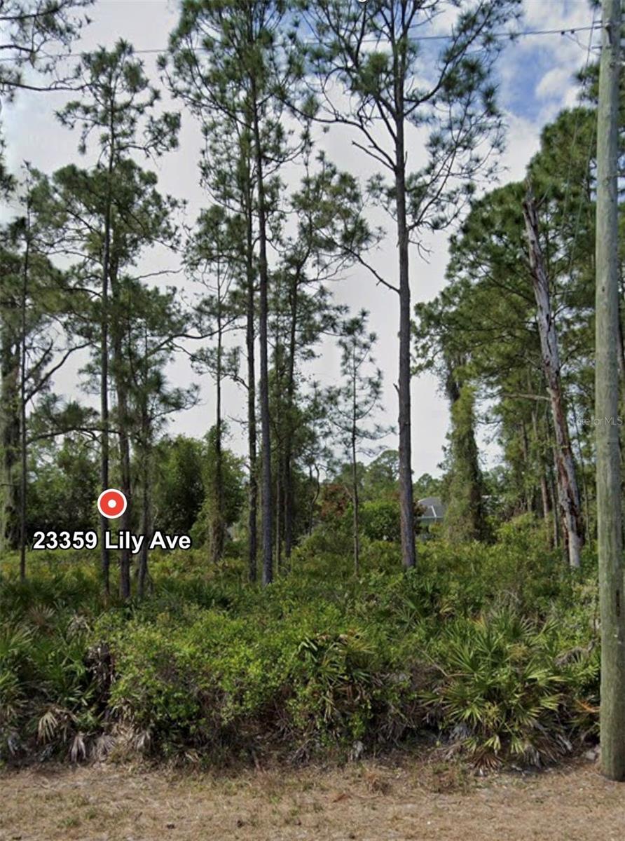 PORT CHARLOTTE SEC 012 - Land