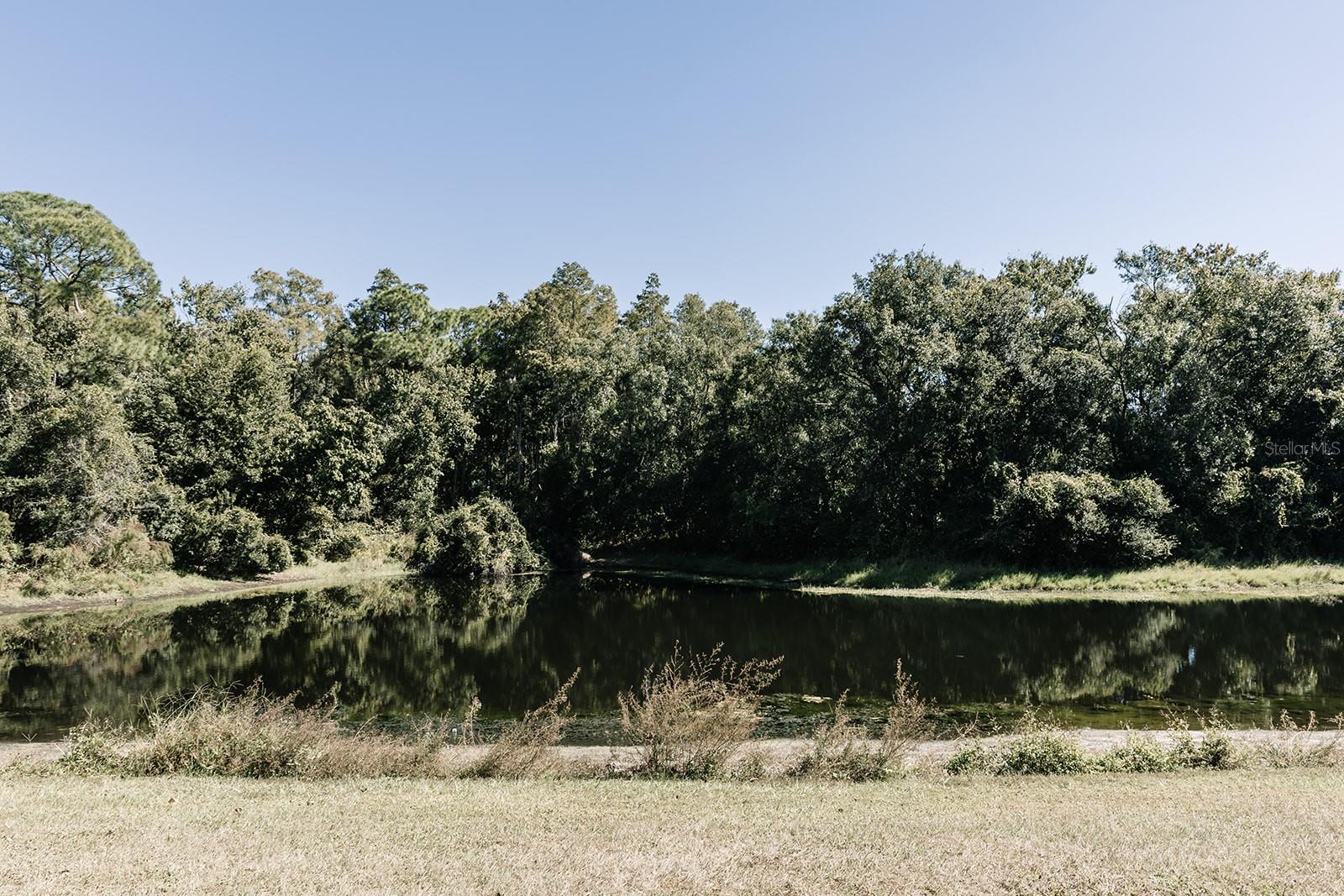 VILLAGE XVIII UNIT II OF CARRO - Residential