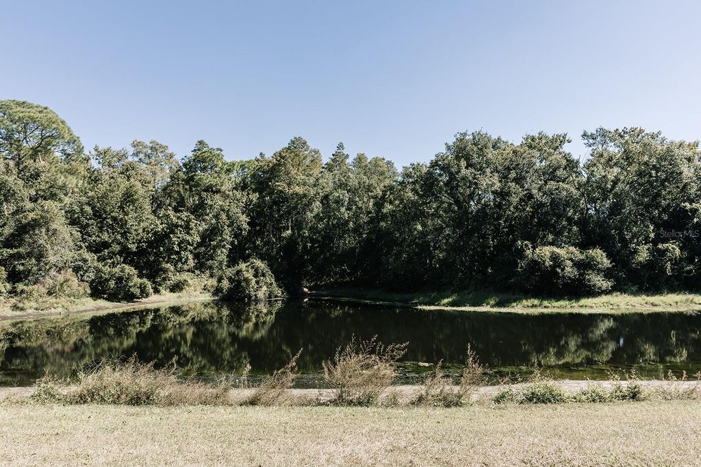 Photo of 14115 Village View Drive, Tampa, FL 33624 (MLS # TB8445694)