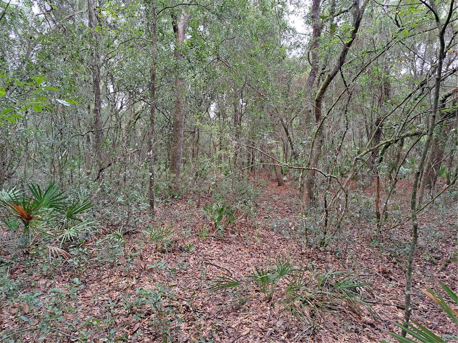 RIDGE MANOR ESTATE - Land