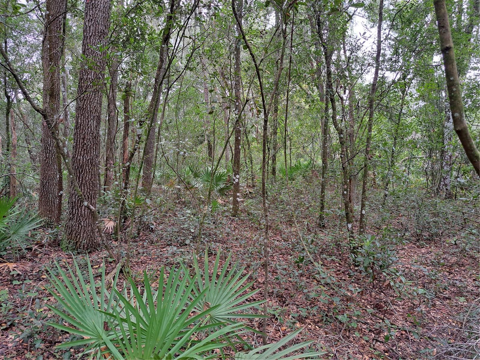 RIDGE MANOR ESTATE - Land