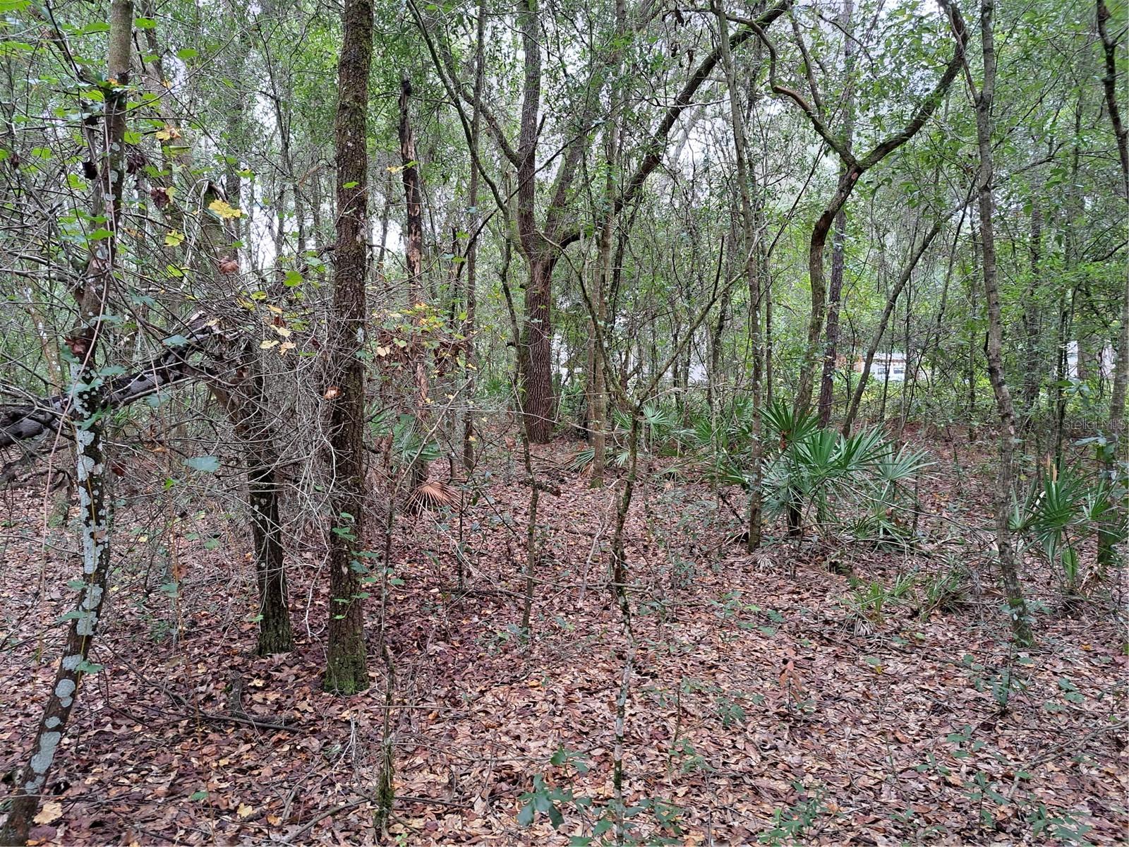 RIDGE MANOR ESTATE - Land