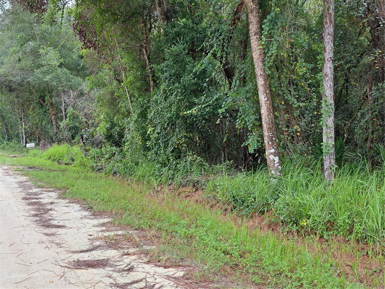 RIDGE MANOR ESTATE - Land