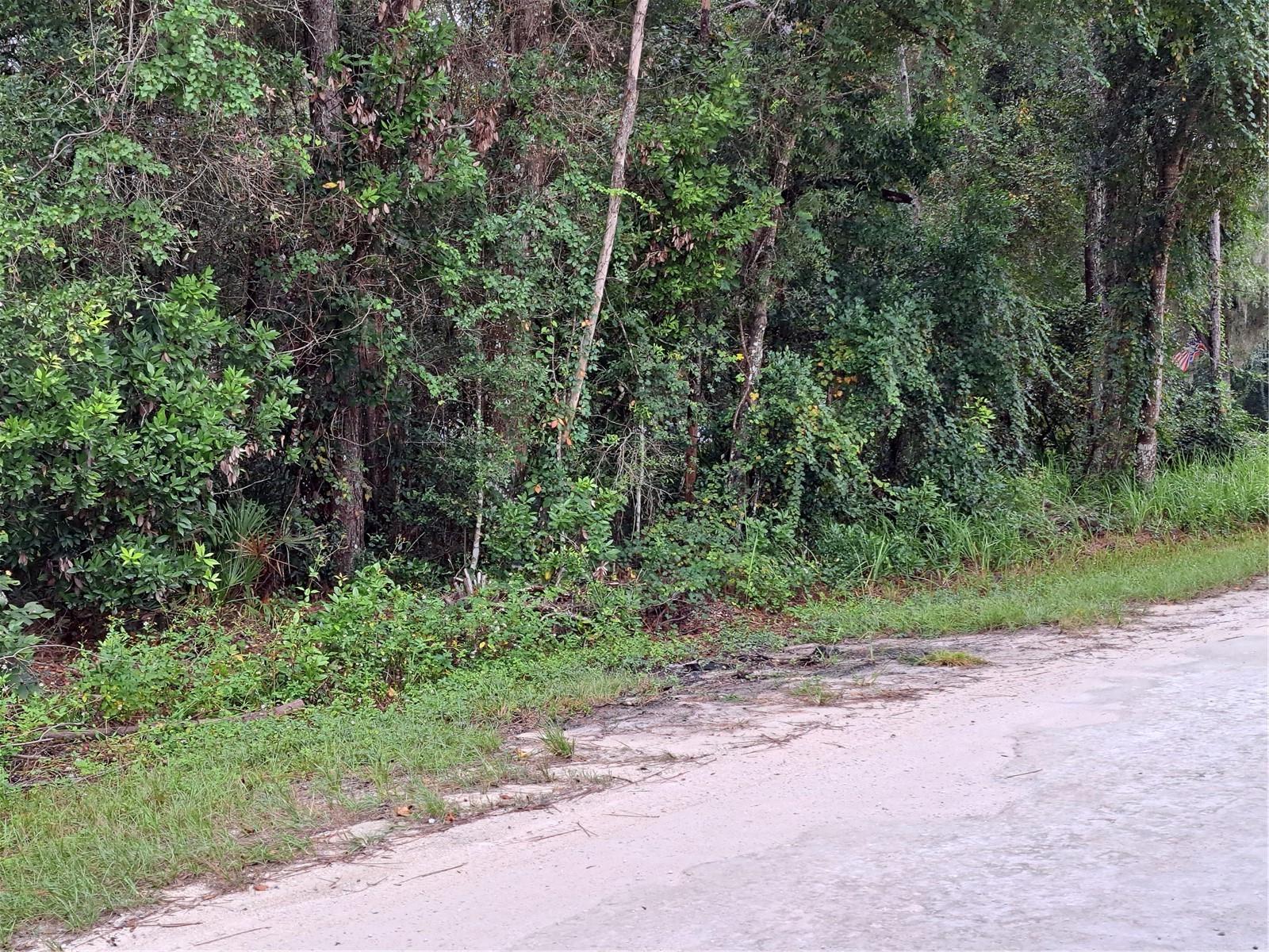 RIDGE MANOR ESTATE - Land