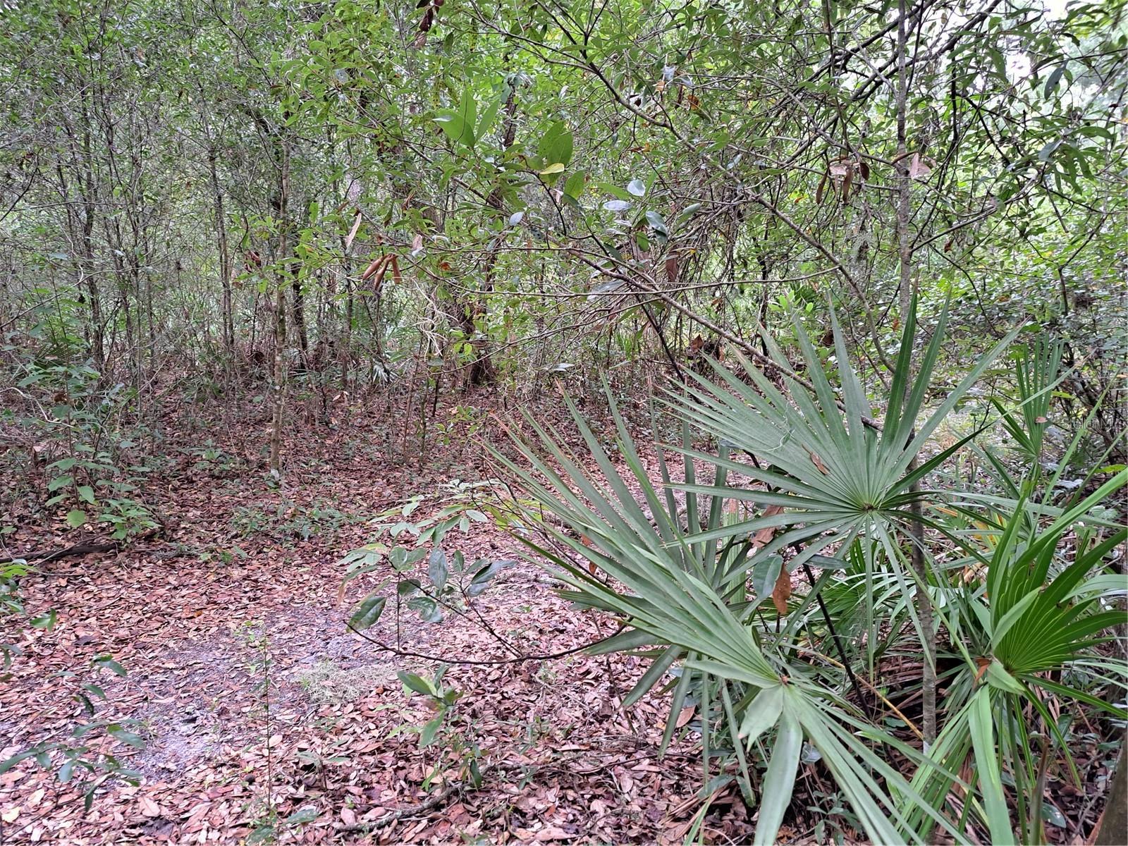 RIDGE MANOR ESTATE - Land