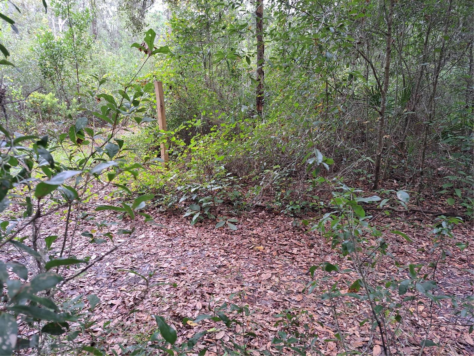 RIDGE MANOR ESTATE - Land