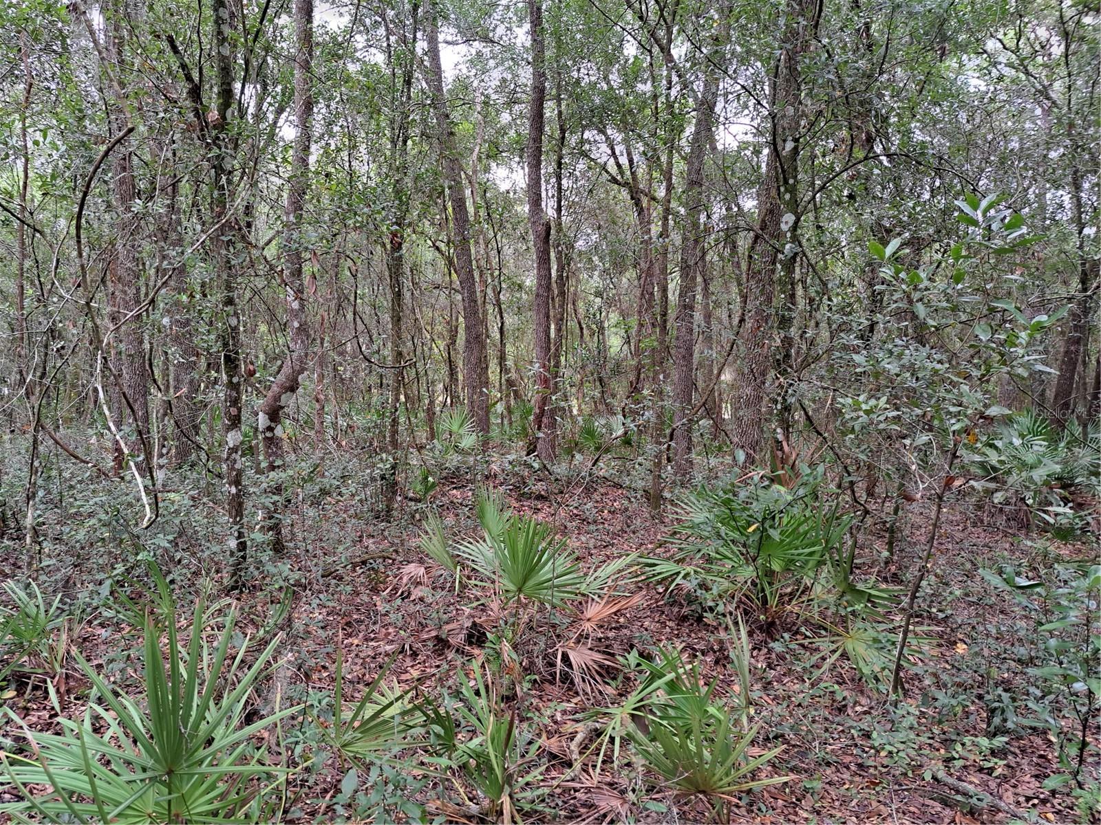 RIDGE MANOR ESTATE - Land