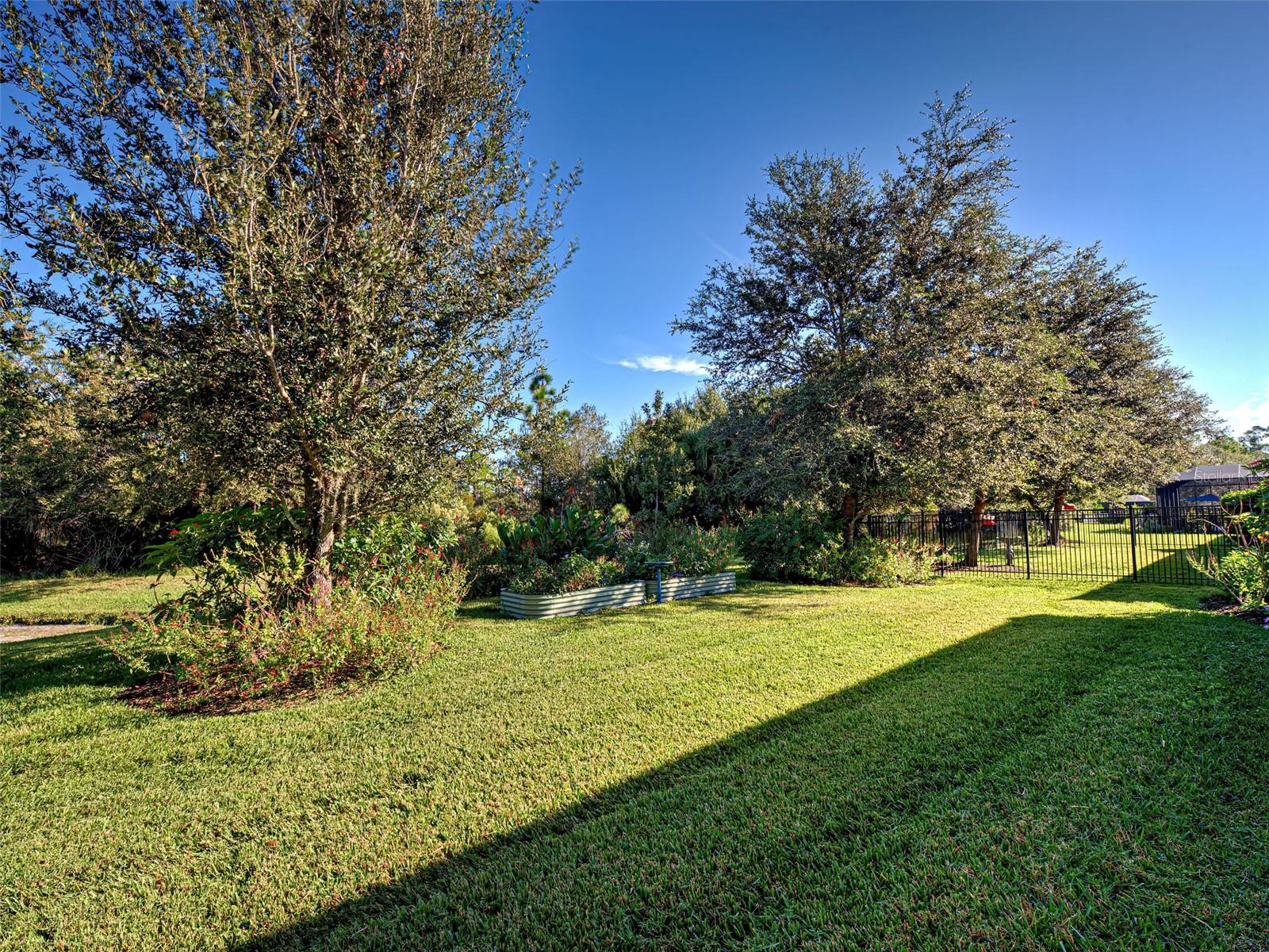 CARIBBEAN VILLAGE - Residential