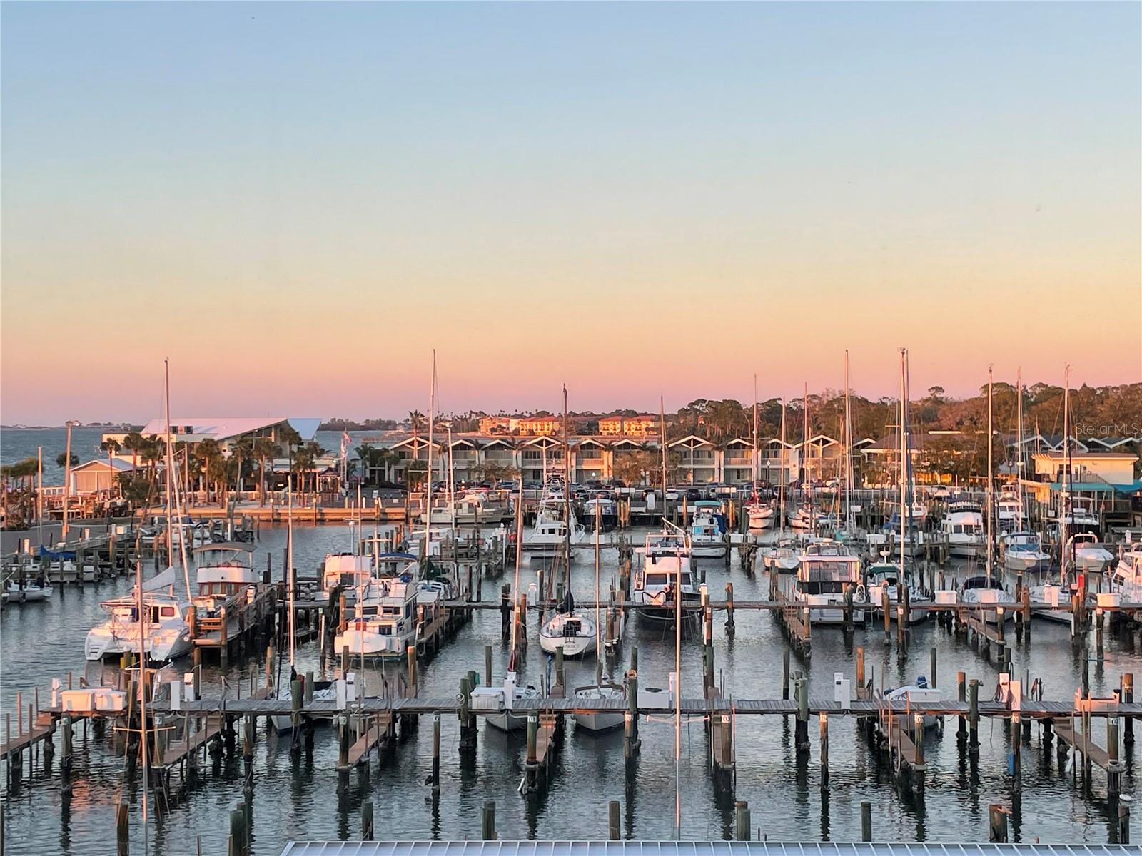 Live the waterfront dream! This beautifully renovated condo captures sweeping southern views of the Intracoastal Waterway and Marina. Taken down to the studs and completely rebuilt in 2016, it blends coastal style with modern comfort and quality finishes throughout. You’ll love the open, light-filled living and dining area—perfect for relaxing or entertaining. The updated kitchen features granite counters, custom wood cabinetry, and sleek porcelain tile floors. The primary suite offers a peaceful retreat with an ensuite bath, while the second bedroom has been opened up into a cozy den, creating a bright, airy flow through the space. This unit includes a full-size stackable washer and dryer for added convenience. Buy it fully furnished and move right in—or have the seller remove the furniture so you can make it your own! This active 55+ community has everything for your coastal lifestyle: a heated, resort-style pool, waterfront clubhouse, gas grill cookout area and storage for bikes and kayaks. Just steps from vibrant downtown Dunedin, you’ll be surrounded by shops, cafes, breweries and waterfront parks. Hop on the Pinellas Trail, catch a Toronto Blue Jays spring training game or spend the day at Honeymoon Island or Clearwater Beach—all just minutes away. Come see why life feels better by the water!