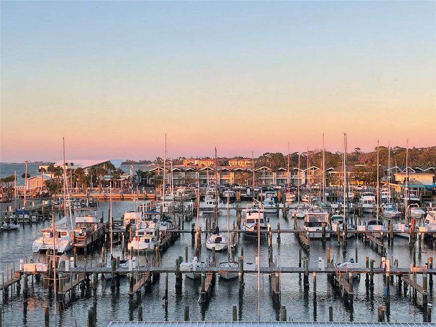 Live the waterfront dream! This beautifully renovated condo captures sweeping southern views of the Intracoastal Waterway and Marina. Taken down to the studs and completely rebuilt in 2016, it blends coastal style with modern comfort and quality finishes throughout. You’ll love the open, light-filled living and dining area—perfect for relaxing or entertaining. The updated kitchen features granite counters, custom wood cabinetry, and sleek porcelain tile floors. The primary suite offers a peaceful retreat with an ensuite bath, while the second bedroom has been opened up into a cozy den, creating a bright, airy flow through the space. This unit includes a full-size stackable washer and dryer for added convenience. Buy it fully furnished and move right in—or have the seller remove the furniture so you can make it your own! This active 55+ community has everything for your coastal lifestyle: a heated, resort-style pool, waterfront clubhouse, gas grill cookout area and storage for bikes and kayaks. Just steps from vibrant downtown Dunedin, you’ll be surrounded by shops, cafes, breweries and waterfront parks. Hop on the Pinellas Trail, catch a Toronto Blue Jays spring training game or spend the day at Honeymoon Island or Clearwater Beach—all just minutes away. Come see why life feels better by the water!