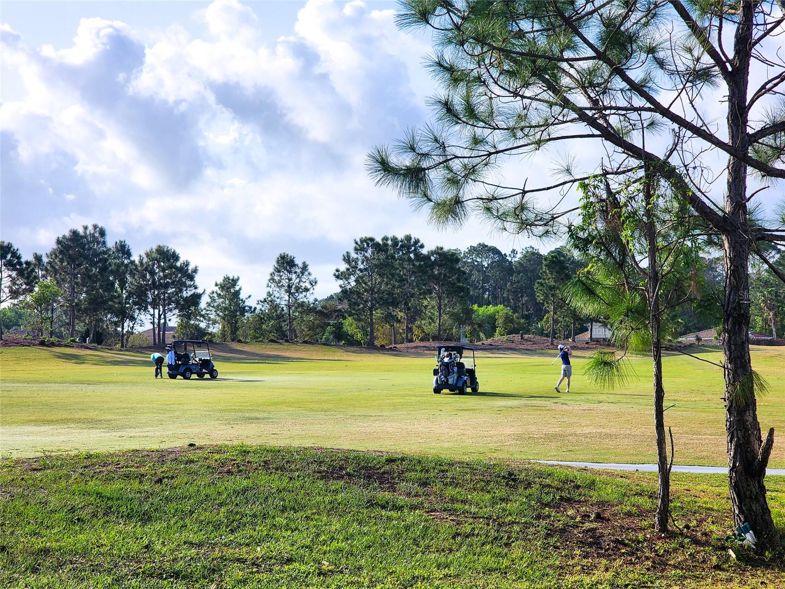 ISLES AT VENETIAN BAY - Residential