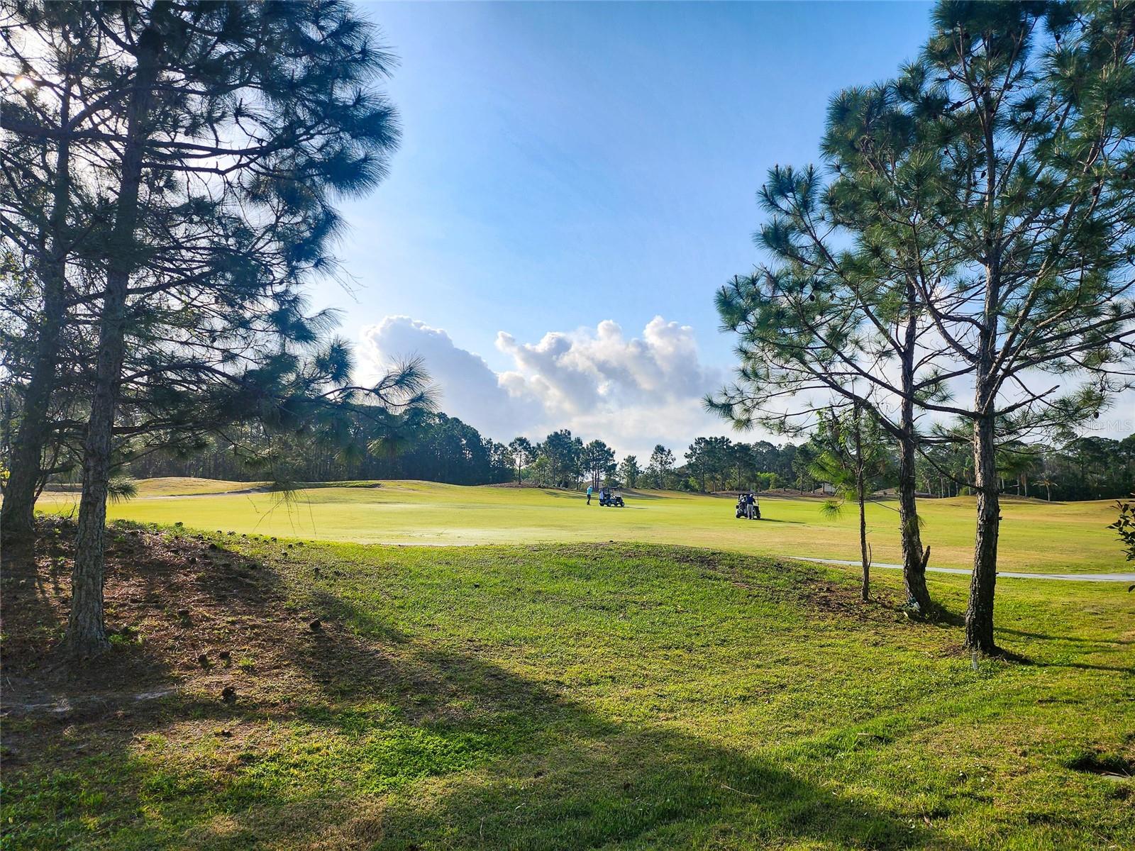 ISLES AT VENETIAN BAY - Residential