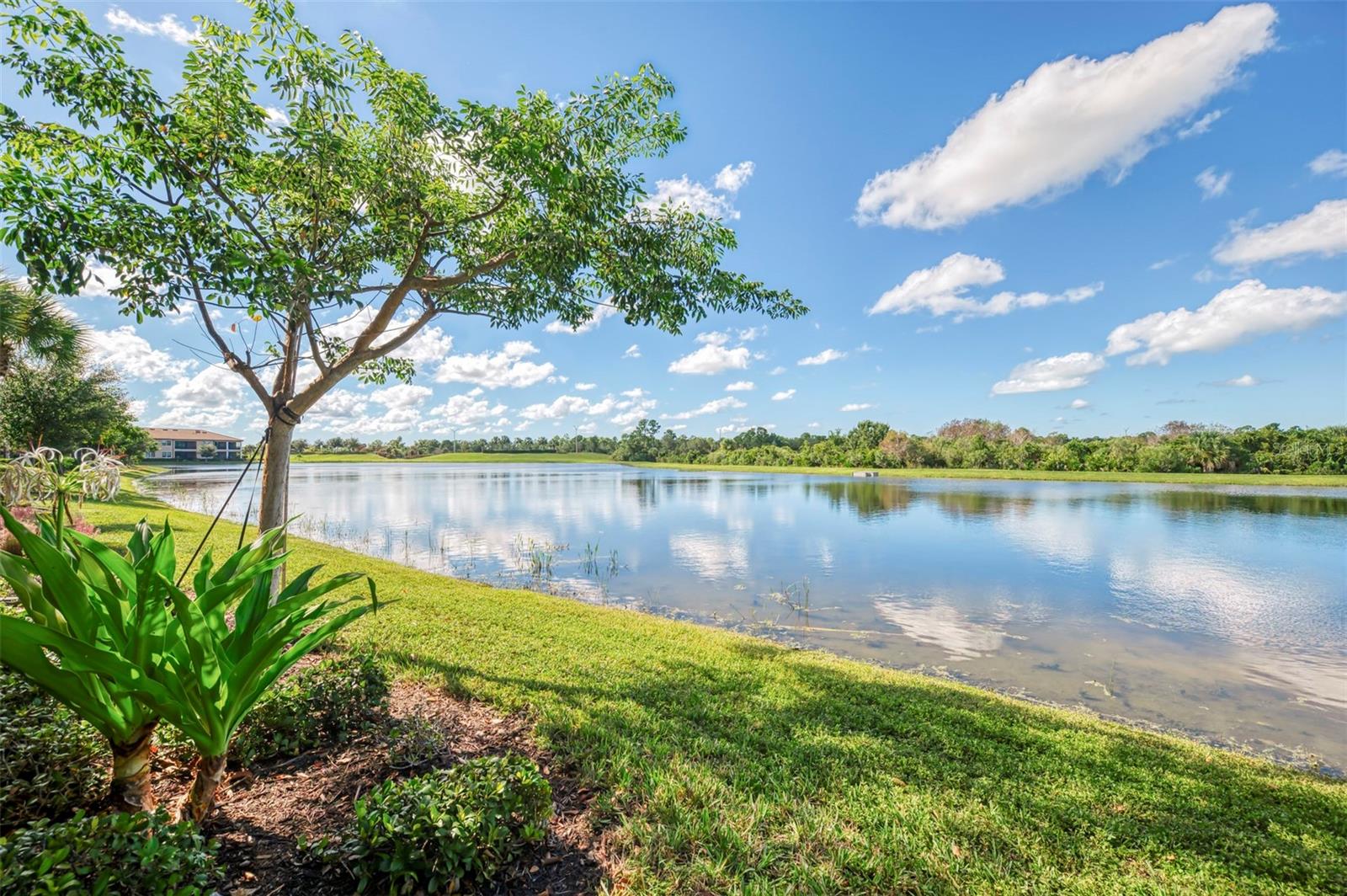 10205 STAGGERBUSH DRIVE 102, VENICE, FL, 34293 1 10205 STAGGERBUSH DRIVE 102