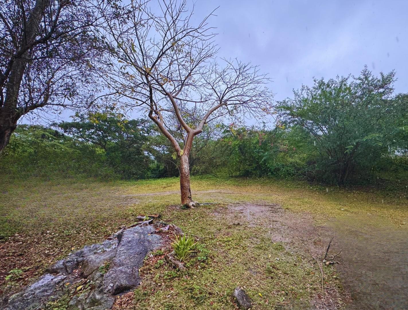 Calle #10 COMM MONTE SANTO P-2