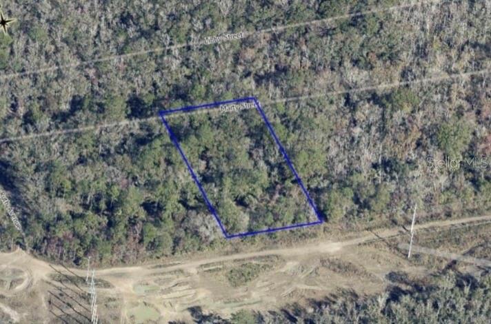 Photo of Tbd #Lot 38, Hastings, FL 32145 (MLS # G5115180)