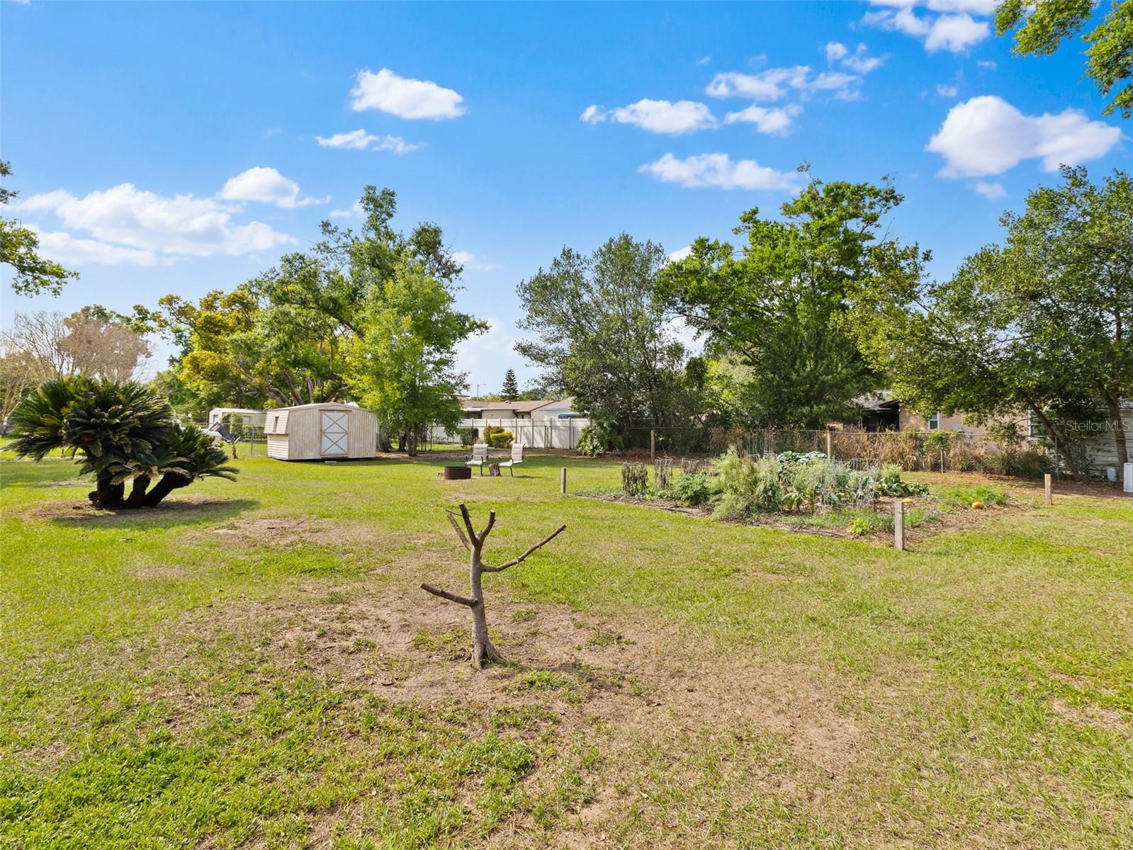 HOLLOWTREE - Residential