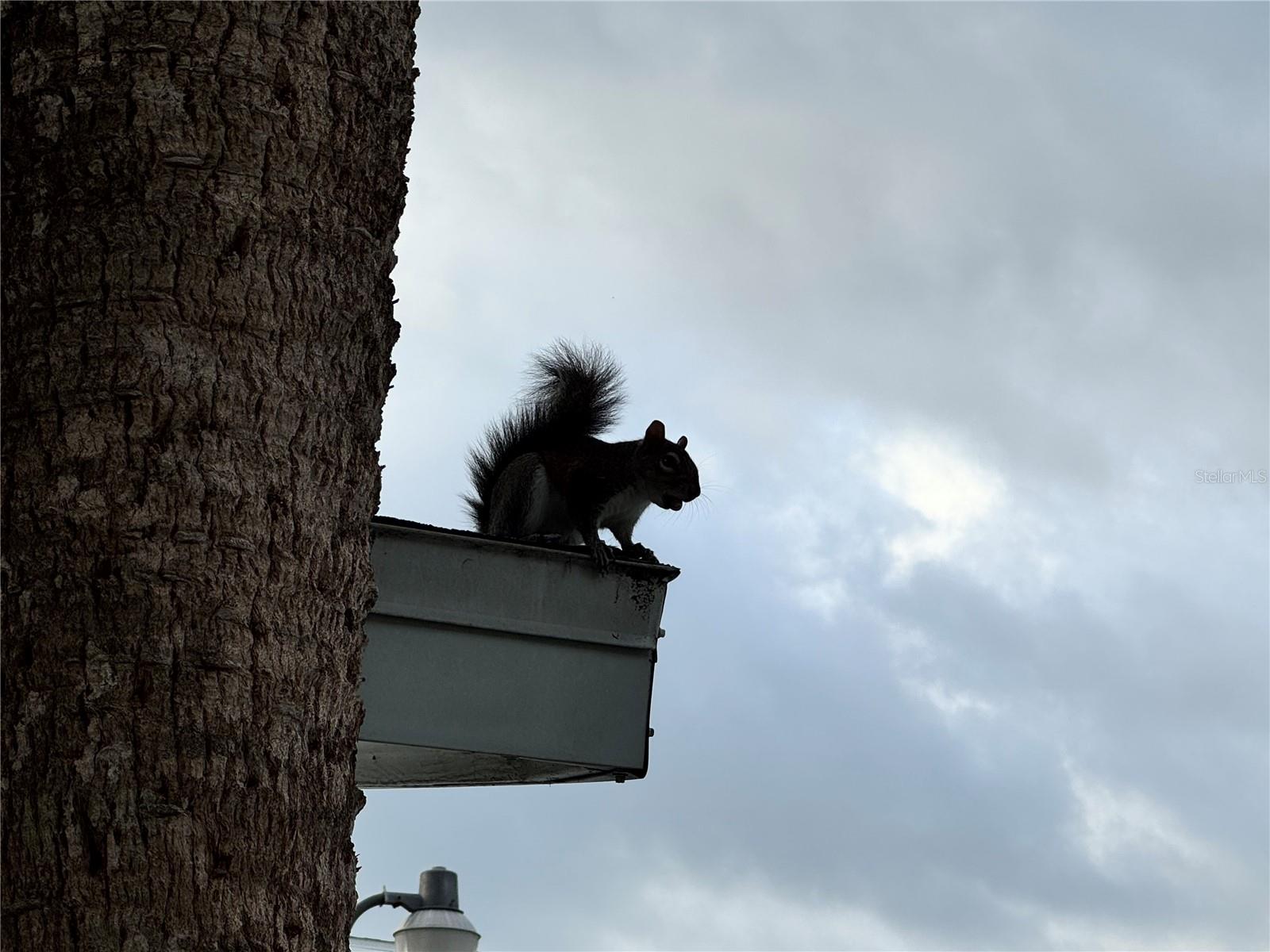 BAYSHORE II SEC 14 - Residential