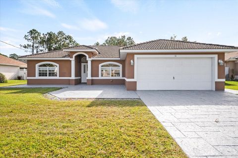 A home in PALM COAST