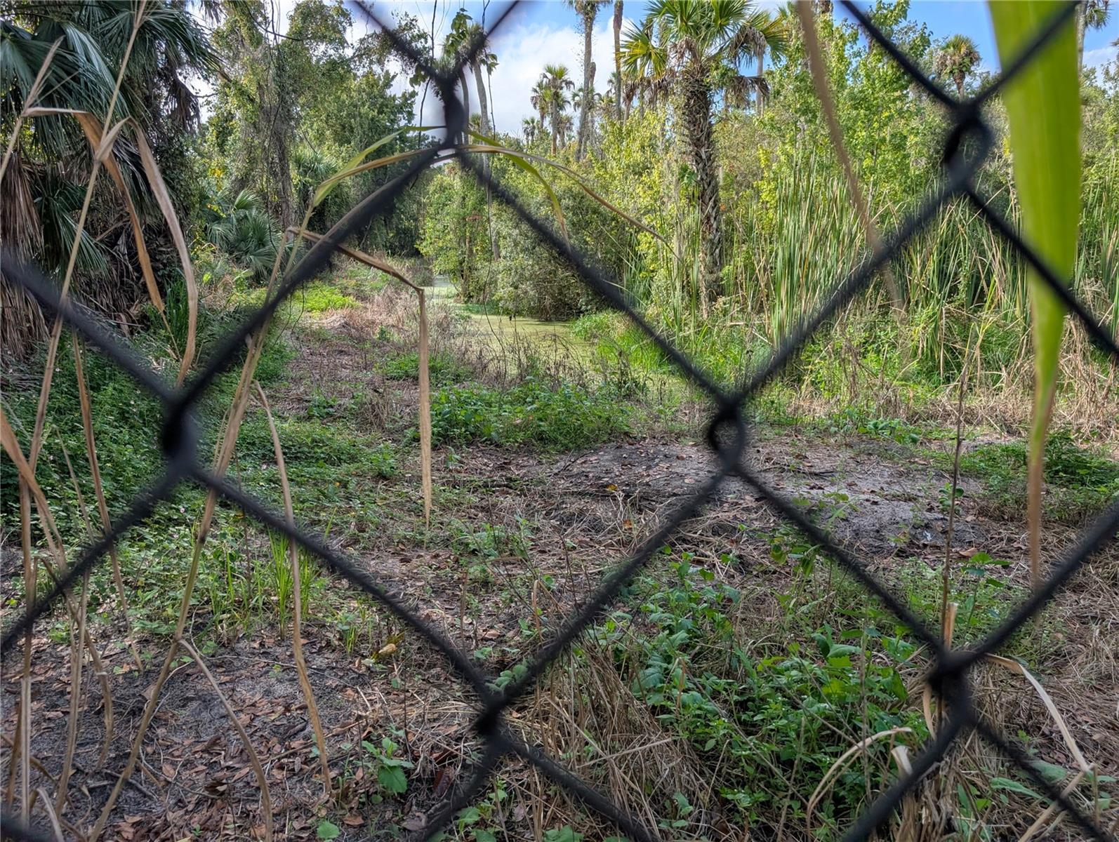 ROOKS RD - Residential