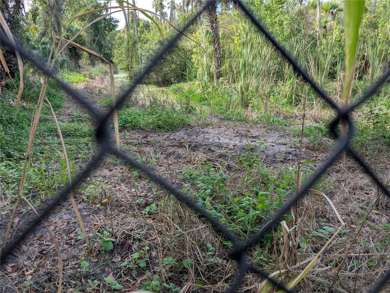 ROOKS RD - Residential