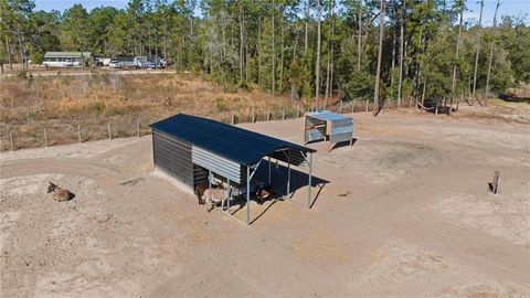 Tiny photo for 13920 NE 6th Street, Williston, FL 32696 (MLS # OM717155)