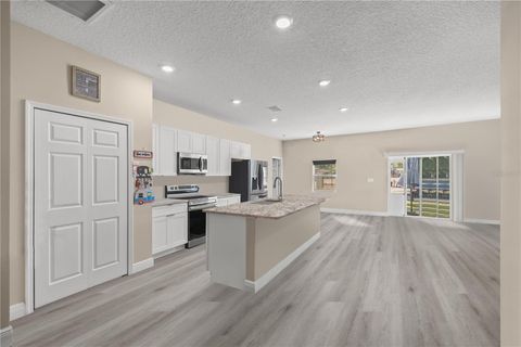 Tiny photo for 13920 NE 6th Street, Williston, FL 32696 (MLS # OM717155)