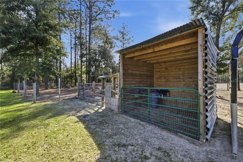 Tiny photo for 13920 NE 6th Street, Williston, FL 32696 (MLS # OM717155)