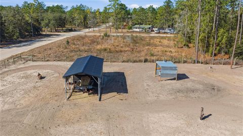 Tiny photo for 13920 NE 6th Street, Williston, FL 32696 (MLS # OM717155)