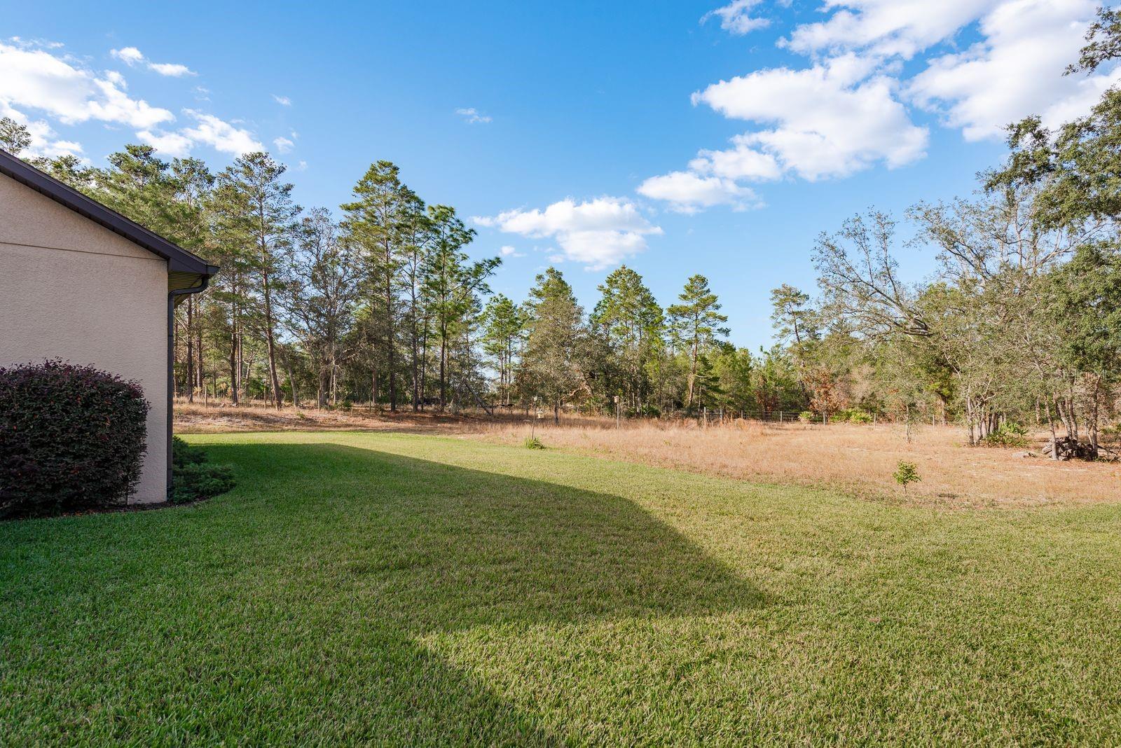 LONDON TERRACE - Residential